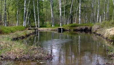 Tinovul Buffogo Covasna