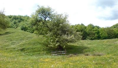 Statiunea balneoclimaterica Vulcana-Bai Dambovita