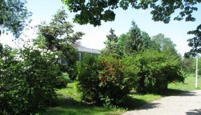 Gradina Botanica Alexandru Buia Dolj