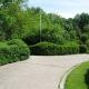 Gradina Botanica Alexandru Buia Dolj