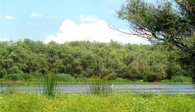 Lacul Pochina Galati