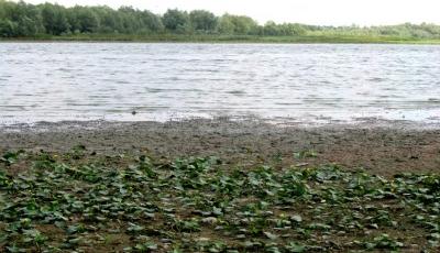 Lacul Vlascuta Galati