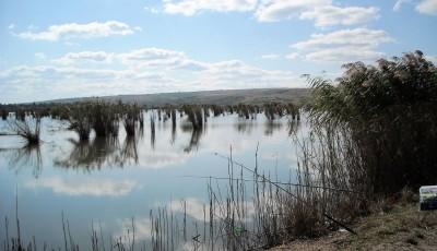 Rezervatia naturala Lunca Joasa a Prutului Galati