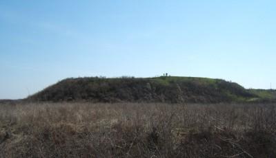 Cetatea Argedava Giurgiu