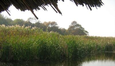 Lacul Comana Giurgiu