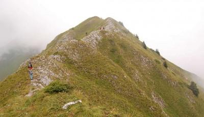 Rezervatia naturala Muntele Oslea Gorj