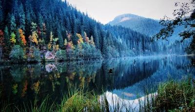 Rezervatia Naturala Lacul Rosu Harghita