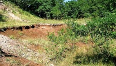 Geoparcul dinozaurilor Tara Hategului Hunedoara