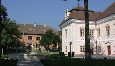 Palatul Magna Curia Hunedoara