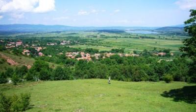 Rezervatia Naturala Calcarele de la Fata Fetii Hunedoara