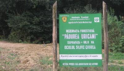 Rezervatia Naturala Padurea Uricani Iasi