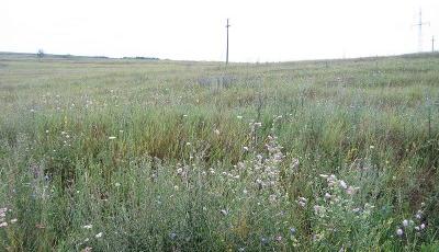 Rezervatia Naturala Valea lui David Iasi