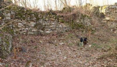 Cetatea de la Seini Maramures