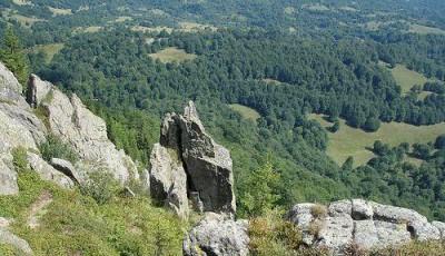 Padurea Craiasa Maramures