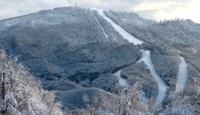 Partia Suior din Baia Sprie Maramures