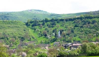 Rezervatia naturala Padurea Sabed Mures