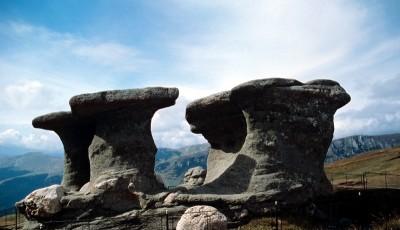 Rezervatia naturala din Masivul Bucegi Prahova