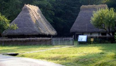 Muzeul Civilizatiei Populare Traditionale Astra Sibiu