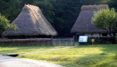 Muzeul Civilizatiei Populare Traditionale Astra Sibiu