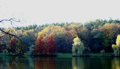 Parcul Natural Dumbrava Sibiului Sibiu