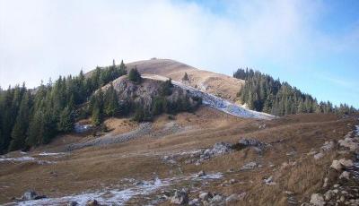 Rezervatia naturala Fanetele montane Todirescu Suceava