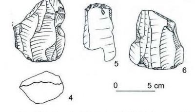 Rezervatia paleontologica de la Ciuperceni Teleorman