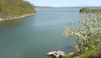 Rezervtia Naturala Lacul Surduc Timis