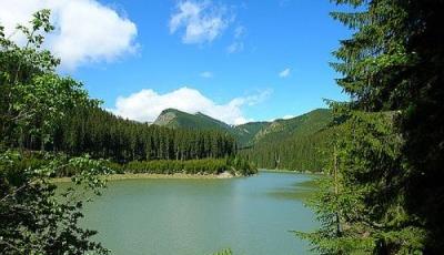 Lacul Galbenu Valcea