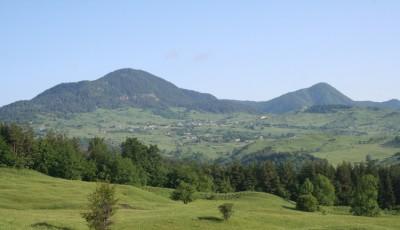 Rezervatia naturala Poiana Muntioru Vrancea