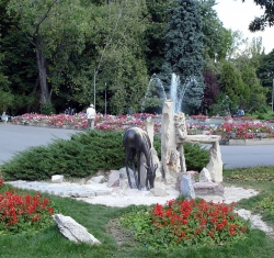 Parcurile europene, la a zecea aniversare: Care e cel mai frumos parc din Bucuresti?