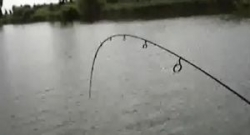 Cum se prinde un somn de 100 kg: Vezi cum se indoaie undita! (VIDEO)