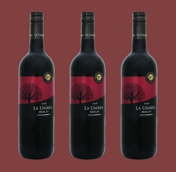 Daily Mail lauda un vin romanesc in premiera: 