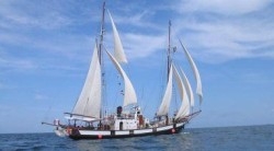Goeleta Marea, replica vasului din "Toate panzele sus"