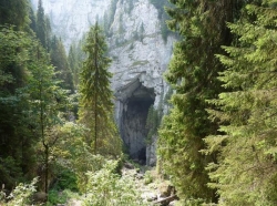 De gasit in Cetatile Ponorului