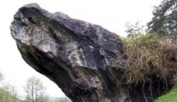 Piatra Broastei sau calcarele cretacice de la Cisnadioara