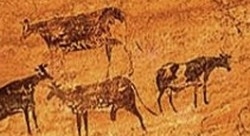 Pestera Coliboaia din Bihor - cele mai vechi desene rupestre din Europa Centrala