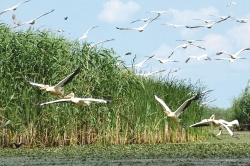Delta Dunarii - paradisul aproape pierdut