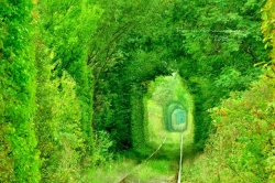 Tunelul Iubirii din Romania, pe lista comorilor ascunse din Uniunea Europeana