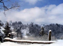 Sirnea, coltul de rai de langa Castelul Bran