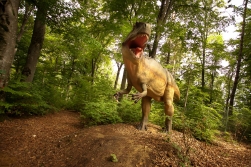 Calatorie in Jurassic: Primul parc cu dinozauri din Romania si cel mai mare din sud-estul Europei s-a deschis la Rasnov (VIDEO)