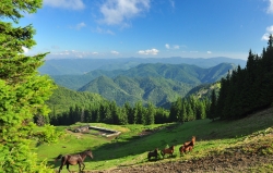 Drumetii si excursii: trasee turistice in Muntii Vrancei