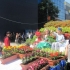 Gradinitele din Valcea deschid Festivalul Floralia