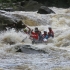 Balet sincron pe ape repezi sau rafting pe Jiu