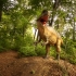 Calatorie in Jurassic: Primul parc cu dinozauri din Romania si cel mai mare din sud-estul Europei s-a deschis la Rasnov (VIDEO)